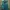 Y2K Sportswear Windbreaker Pria Green