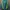 Y2K Sportswear Windbreaker Pria green photo 2