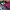 Casual Hat Wanita pink photo 6