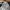 Titleist Sportswear Casual Hat Pria white photo 7