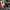 New Balance Streetwear Sportswear Sneakers Pria gray photo 3