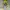 Nike Vintage Luxury Hoody Pria black yellow photo 1