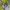 Nike Vintage Luxury Hoody Pria black yellow photo 5
