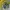 Nike Vintage Luxury Hoody Pria black yellow photo 2
