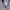 Champion Vintage Y2K Hoody Pria silver gray photo 4