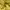Pancoat Luxury Futurist Hoody Pria yellow photo 6