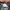 Adidas Casual Hat Pria white photo 4
