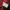 Japanese brand Streetwear Sportswear Casual shirt Pria red black photo 6