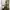 Shein Minimalist Casual Evening dress Wanita green photo 2
