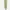 Shein Minimalist Casual Evening dress Wanita green photo 1