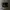 VANS Casual Sneakers Wanita white black photo 1