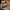 Adidas Vintage Casual Sneakers Pria tan brown photo 7