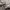Obey Casual Hoody Pria gray photo 3