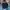 COLORBOX Streetwear Indie Crop top Wanita green navy photo 1