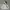 Vintage Streetwear Hoody Pria gray photo 1