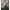 VANS Streetwear Skater Fleece Pria tan brown photo 4