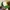 Adidas Minimalist Hat Pria white green photo 1