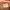 Casual Casual shoe Pria brown cream photo 7