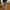 Jiniso Avant Garde Swimwear Pria tan photo 2