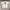 Stussy Vintage T-shirt Pria white photo 1
