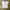 Nike Vintage Sportswear Jersey Wanita white blue photo 1