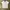 Nike Vintage Sportswear Jersey Wanita White Blue
