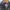Helmut Lang Vintage Luxury Bomber jacket Pria green photo 4