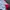 Casual Jersey Pria white red photo 7