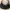 Charles and Keith Indie Casual Shoulder bag Wanita black photo 2