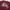 Stussy Streetwear Y2K T-shirt Pria burgundy photo 4