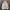 Japanese brand Casual Windbreaker Wanita cream photo 1