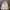 Japanese brand Casual Windbreaker Wanita cream photo 6