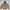 Casual Bomber jacket Pria tan brown photo 3
