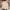 Vintage Lolita Skirt Wanita cream photo 1
