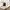 Tommy Hilfiger Luxury Casual Polo shirt Pria white photo 3