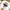 Tommy Hilfiger Luxury Casual Polo shirt Pria white photo 2
