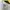Fruit of the Loom Vintage Y2K T-shirt Pria white gray photo 3