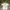 Fruit of the Loom Vintage Y2K T-shirt Pria white gray photo 1