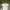 Fruit Of The Loom Vintage Y2K T-shirt Pria White Gray