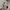 Stussy Vintage Streetwear Track jacket Pria tan photo 6