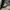 Carhartt Streetwear Hoody Pria gray cream photo 6