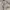 Carhartt Streetwear Hoody Pria gray cream photo 4