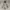 Carhartt Streetwear Hoody Pria gray cream photo 1