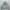 Stussy Streetwear Skater Hoody Pria Gray