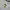 Stussy Streetwear Skater Hoody Pria gray photo 4