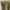 Element Casual Casual pants Pria cream photo 5
