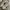 Nike Sportswear Sneakers Pria white black photo 1