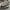 Nike Sportswear Sneakers Pria white black photo 2