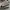 Nike Sportswear Sneakers Pria White Black