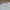Polo Ralph Lauren Minimalist Casual Sweater Kids white photo 2